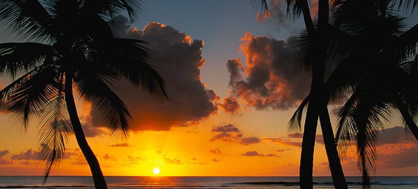 网站攻击软件工具